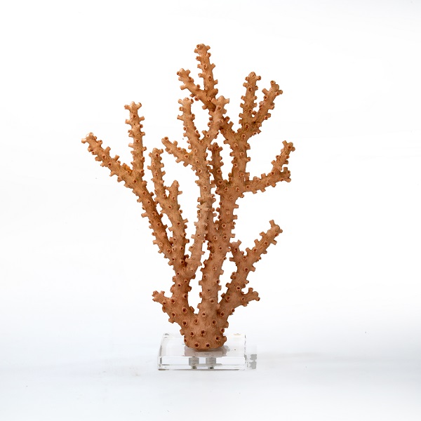Long Coral with Base