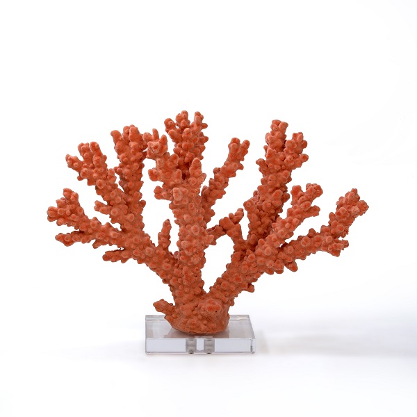 Medium Coral with Base
