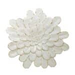 flower,decor,