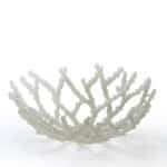 Coral Bowl