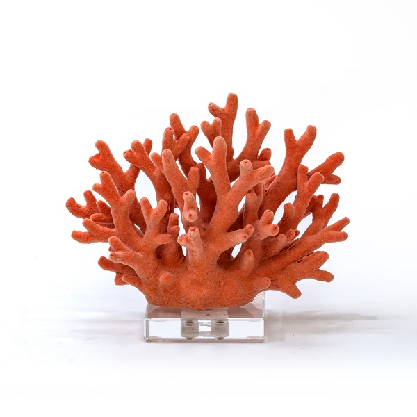 orange,coral,,base,decor,