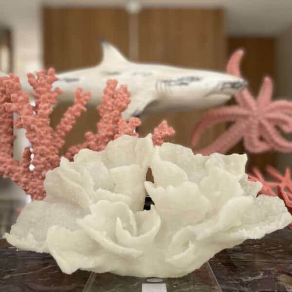 Medium Coral with Base - Image 2