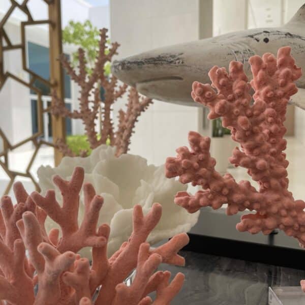 Medium Coral with Base - Image 5