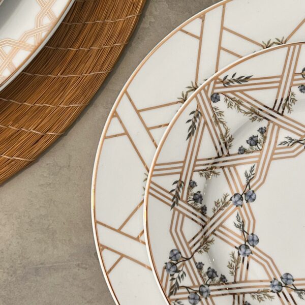 New Bone 10.5" Cotton Dinner Plate Set of 6 - Image 5