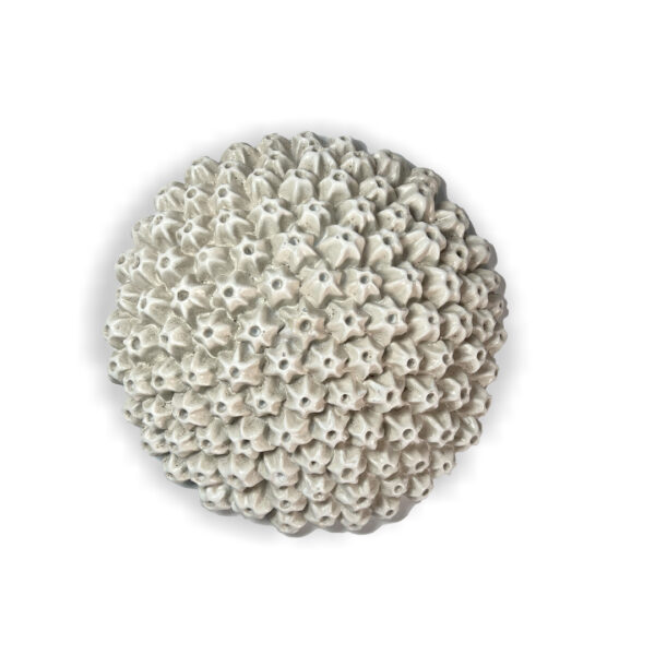 Resin Wall Art Coral Large