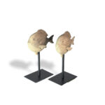 coastel,