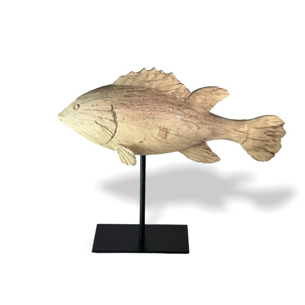 coastel,fish,