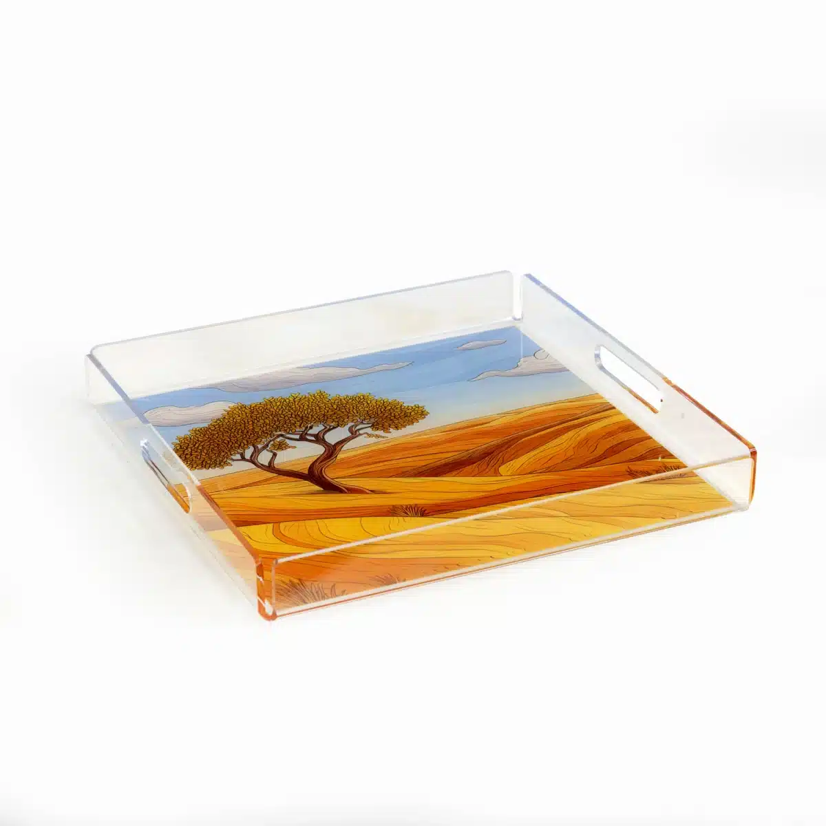 Acrylic Serving Tray Ard